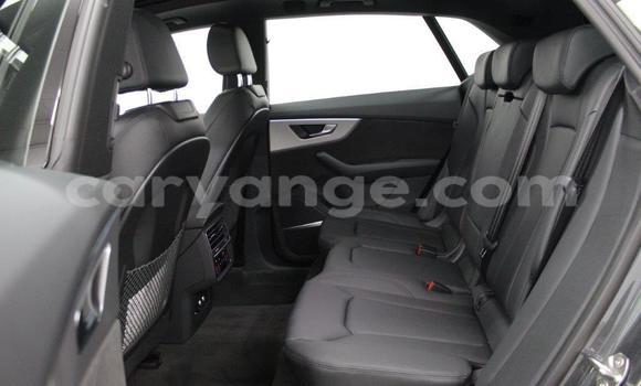 Buy Used Audi Q8 Other Car in Karasburg in Karas Buy Used Audi Q8 Other Car in Karasburg in Karas