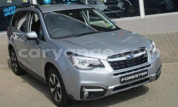 Buy Used Subaru Forester Silver Car in Karasburg in Karas