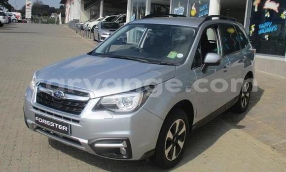 Acheter Occasion Voiture Subaru Forester Gris à Karasburg, Karas Acheter Occasion Voiture Subaru Forester Gris à Karasburg, Karas