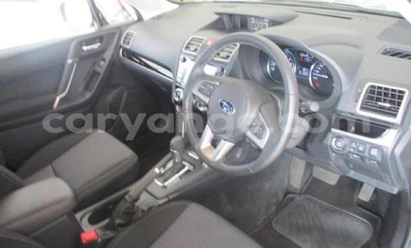 Acheter Occasion Voiture Subaru Forester Gris à Karasburg, Karas Acheter Occasion Voiture Subaru Forester Gris à Karasburg, Karas