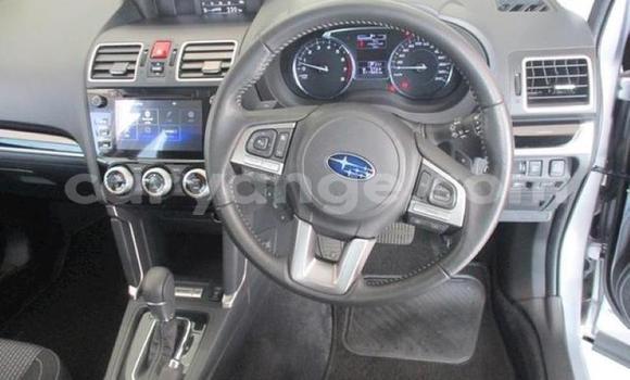 Acheter Occasion Voiture Subaru Forester Gris à Karasburg, Karas Acheter Occasion Voiture Subaru Forester Gris à Karasburg, Karas