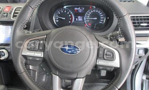 Acheter Occasion Voiture Subaru Forester Gris à Karasburg, Karas Acheter Occasion Voiture Subaru Forester Gris à Karasburg, Karas