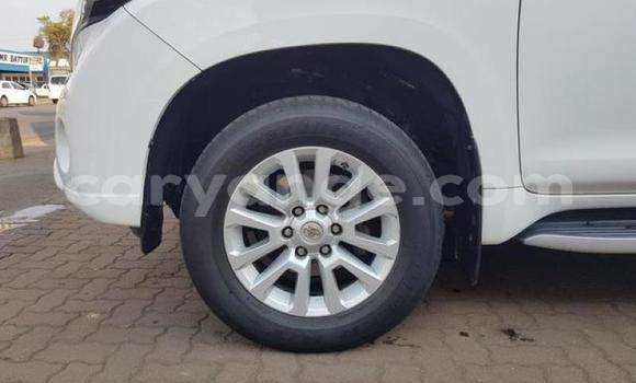 Buy Used Toyota Land Cruiser Prado White Car in Karasburg in Karas Buy Used Toyota Land Cruiser Prado White Car in Karasburg in Karas