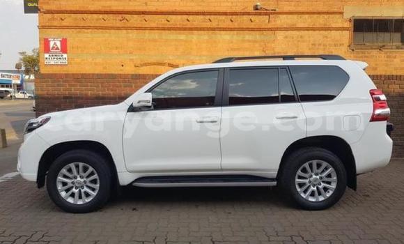 Buy Used Toyota Land Cruiser Prado White Car in Karasburg in Karas Buy Used Toyota Land Cruiser Prado White Car in Karasburg in Karas