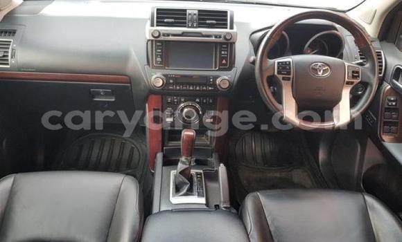 Buy Used Toyota Land Cruiser Prado White Car in Karasburg in Karas Buy Used Toyota Land Cruiser Prado White Car in Karasburg in Karas