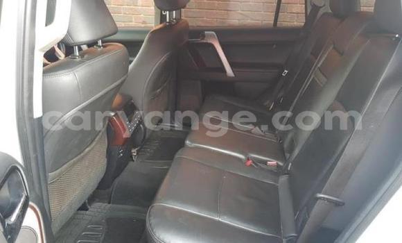 Buy Used Toyota Land Cruiser Prado White Car in Karasburg in Karas Buy Used Toyota Land Cruiser Prado White Car in Karasburg in Karas