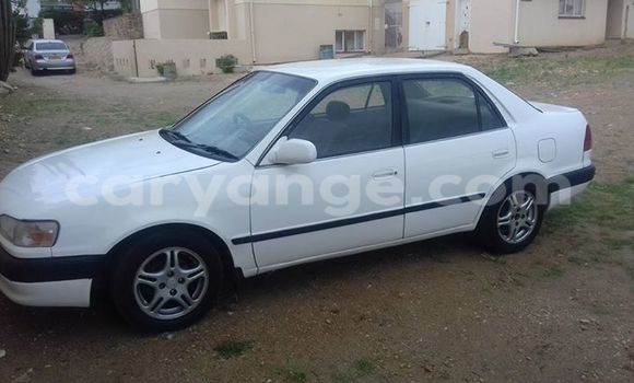 Buy Used Toyota Corolla White Car in Windhoek in Namibia Buy Used Toyota Corolla White Car in Windhoek in Namibia