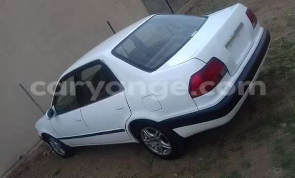 Buy Used Toyota Corolla White Car in Windhoek in Namibia Buy Used Toyota Corolla White Car in Windhoek in Namibia