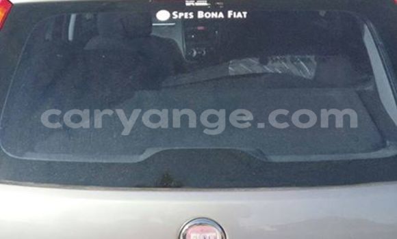 Buy Used Fiat Punto Other Car in Windhoek in Namibia