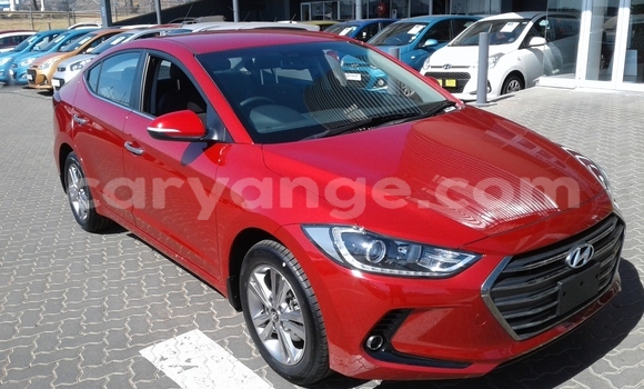 Buy Used Hyundai Elantra Red Car in Karasburg in Karas Buy Used Hyundai Elantra Red Car in Karasburg in Karas