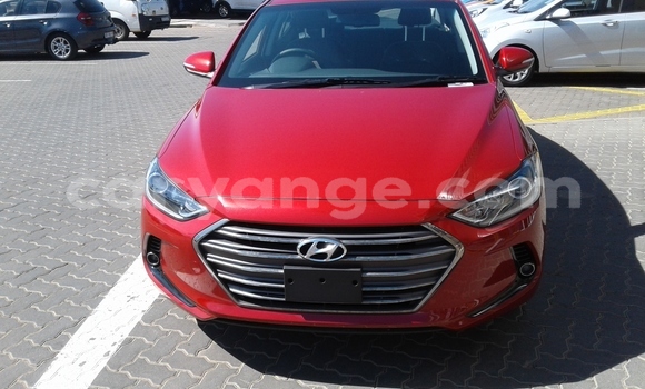 Buy Used Hyundai Elantra Red Car in Karasburg in Karas Buy Used Hyundai Elantra Red Car in Karasburg in Karas