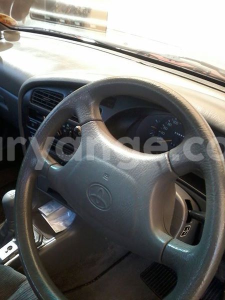 Big with watermark 15578737 1281570078576389 5086098407229006862 n