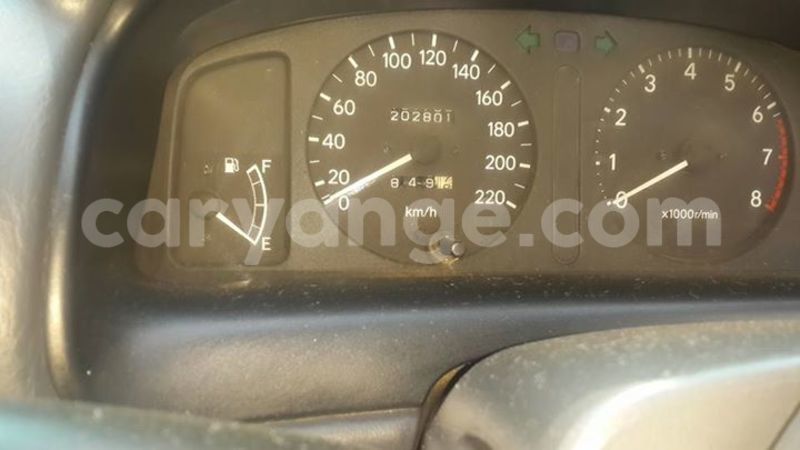 Big with watermark 15285033 1129442643839909 5134408343826197814 n