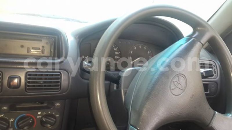 Big with watermark 15578737 1281570078576389 5086098407229006862 n