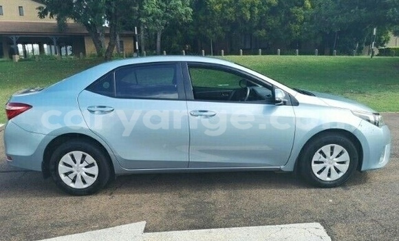 Buy Used Toyota Corolla Blue Car in Walvis Bay in Namibia Buy Used Toyota Corolla Blue Car in Walvis Bay in Namibia