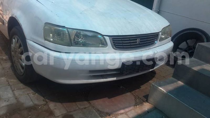 Big with watermark 15590123 1873629849587474 5620022596992670559 n