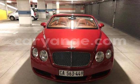 Buy Used Bentley Continental GT Other Car in Warmbad in Karas Buy Used Bentley Continental GT Other Car in Warmbad in Karas