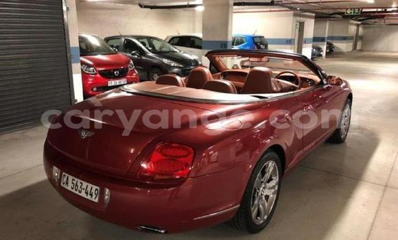 Buy Used Bentley Continental GT Other Car in Warmbad in Karas Buy Used Bentley Continental GT Other Car in Warmbad in Karas