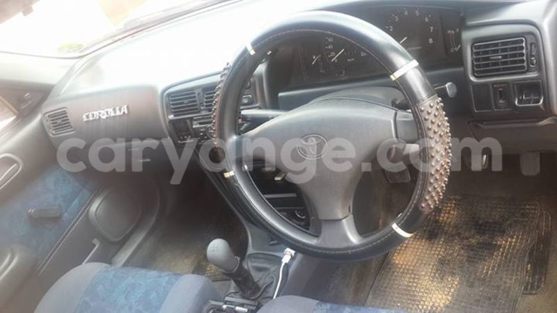 Big with watermark 2016 12 31 04 04 12 20161228 150053 800 640 0