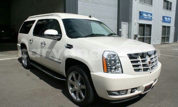 Buy Used Cadillac Escalade White Car in Grootfontein in Namibia