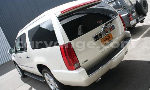 Buy Used Cadillac Escalade White Car in Grootfontein in Namibia Buy Used Cadillac Escalade White Car in Grootfontein in Namibia