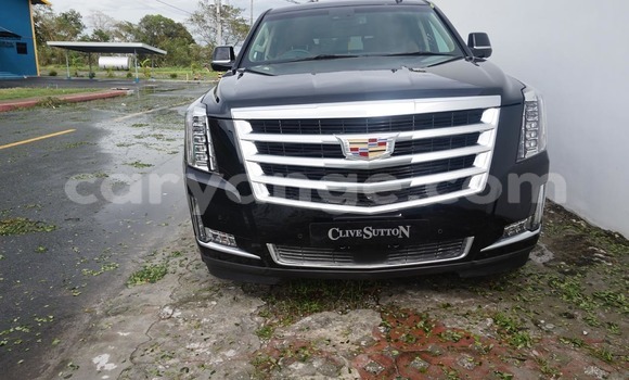 Buy Used Cadillac Escalade Black Car in Swakopmund in Namibia