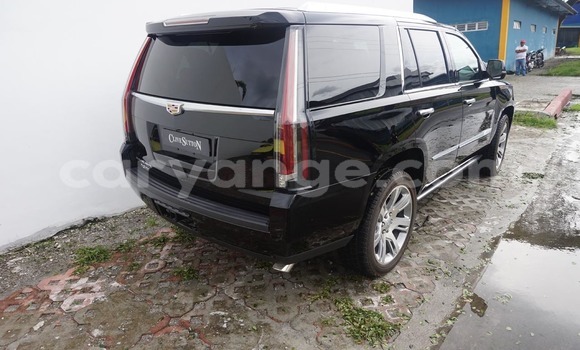 Buy Used Cadillac Escalade Black Car in Swakopmund in Namibia Buy Used Cadillac Escalade Black Car in Swakopmund in Namibia