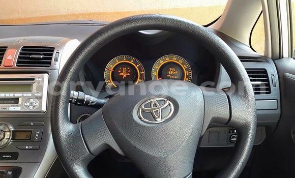 Buy New Toyota Auris Silver Car in Windhoek in Namibia Buy New Toyota Auris Silver Car in Windhoek in Namibia