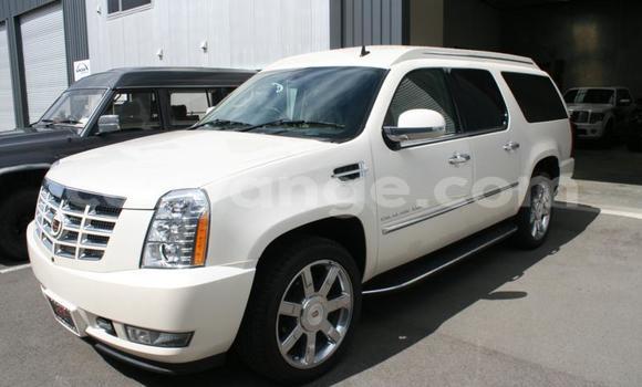 Buy Used Cadillac Escalade White Car in Bethanien in Karas Buy Used Cadillac Escalade White Car in Bethanien in Karas