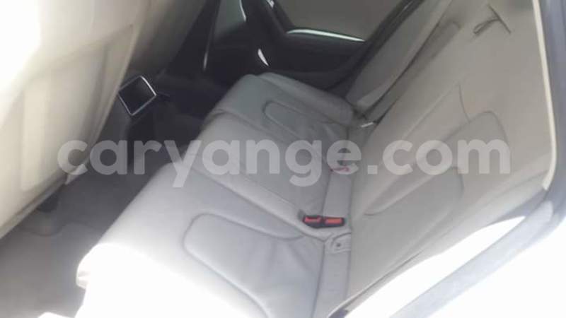 Big with watermark 2016 12 31 04 04 12 20161228 150053 800 640 0