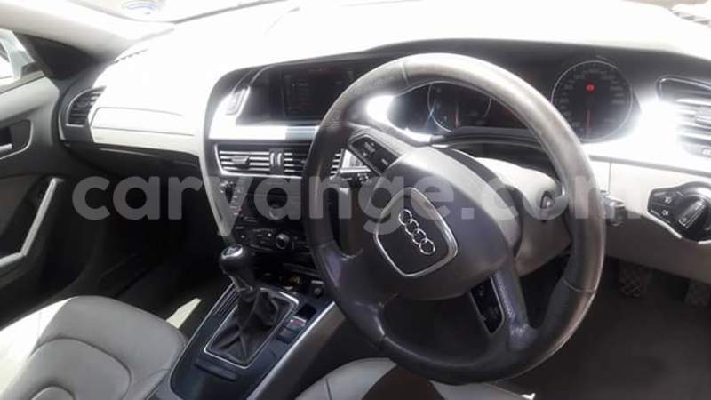 Big with watermark 15940735 1705691006408097 7251934696248635930 n