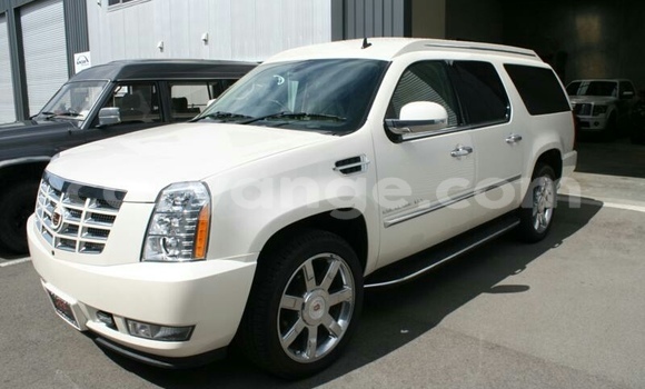 Buy Used Cadillac Escalade White Car in Grootfontein in Namibia