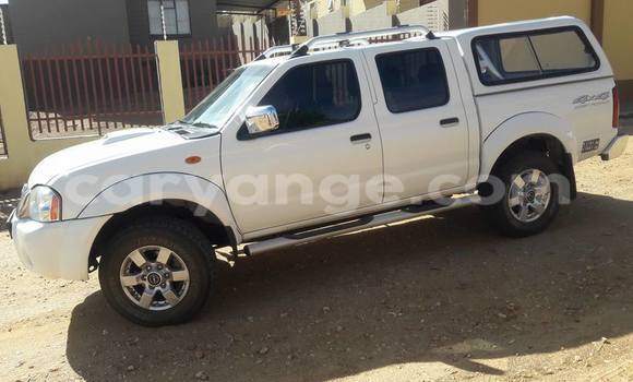 Buy Used Nissan Navara White Car in Windhoek in Namibia Buy Used Nissan Navara White Car in Windhoek in Namibia