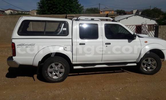 Buy Used Nissan Navara White Car in Windhoek in Namibia Buy Used Nissan Navara White Car in Windhoek in Namibia
