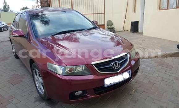 Buy Used Honda Accord Red Car in Windhoek in Namibia