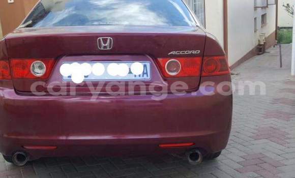 Buy Used Honda Accord Red Car in Windhoek in Namibia Buy Used Honda Accord Red Car in Windhoek in Namibia