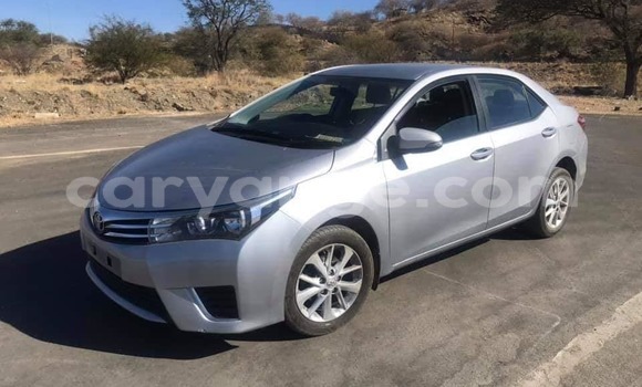Acheter Occasion Voiture Toyota Corolla Gris à Windhoek, Namibie Acheter Occasion Voiture Toyota Corolla Gris à Windhoek, Namibie
