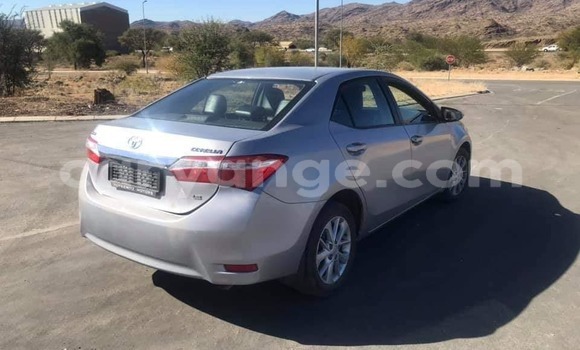 Acheter Occasion Voiture Toyota Corolla Gris à Windhoek, Namibie Acheter Occasion Voiture Toyota Corolla Gris à Windhoek, Namibie