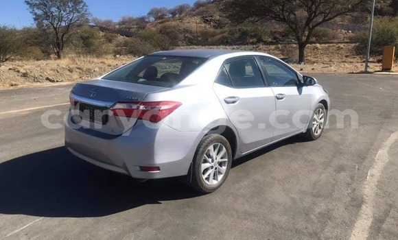 Acheter Occasion Voiture Toyota Corolla Gris à Windhoek, Namibie Acheter Occasion Voiture Toyota Corolla Gris à Windhoek, Namibie