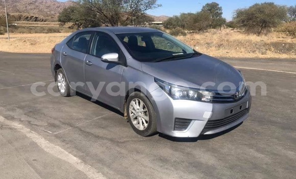Acheter Occasion Voiture Toyota Corolla Gris à Windhoek, Namibie Acheter Occasion Voiture Toyota Corolla Gris à Windhoek, Namibie