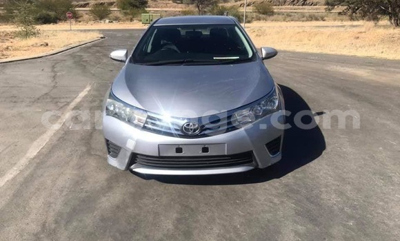 Acheter Occasion Voiture Toyota Corolla Gris à Windhoek, Namibie Acheter Occasion Voiture Toyota Corolla Gris à Windhoek, Namibie