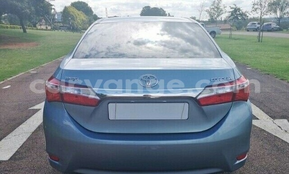 Buy Used Toyota Corolla Blue Car in Okahandja in Namibia Buy Used Toyota Corolla Blue Car in Okahandja in Namibia