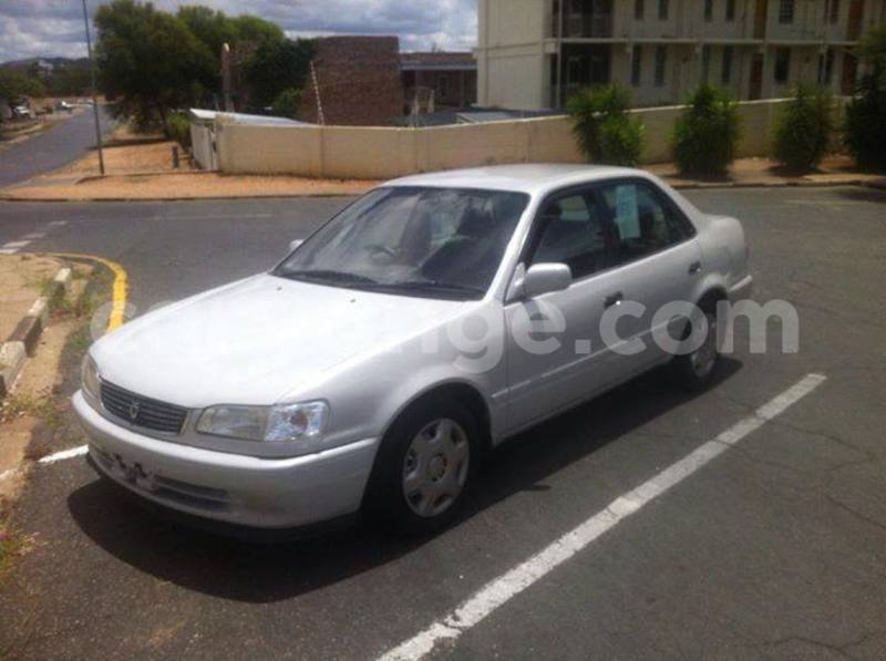 Big with watermark 2016 12 31 04 04 12 20161228 150003 800 640 0