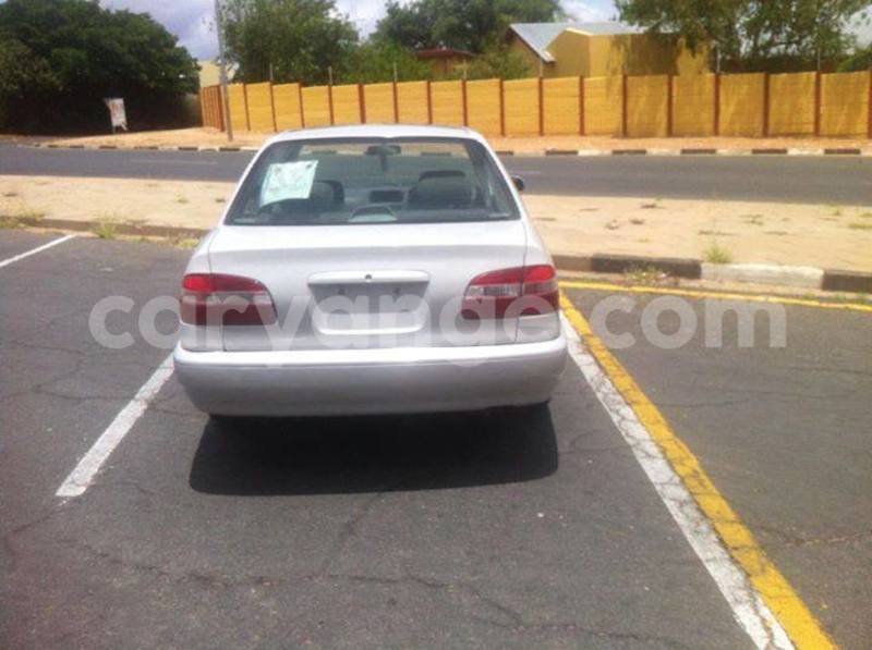 Big with watermark 15940735 1705691006408097 7251934696248635930 n