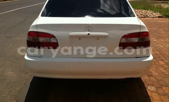 Buy Used Toyota 4Runner White Car in Windhoek in Namibia Buy Used Toyota 4Runner White Car in Windhoek in Namibia