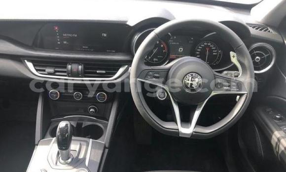 Buy Used Isuzu FTR 850 White Truck in Katima Mulilo in Caprivi Buy Used Isuzu FTR 850 White Truck in Katima Mulilo in Caprivi