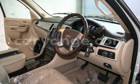 Buy Used Cadillac Escalade White Car in Ondangwa in Oshikoto Buy Used Cadillac Escalade White Car in Ondangwa in Oshikoto