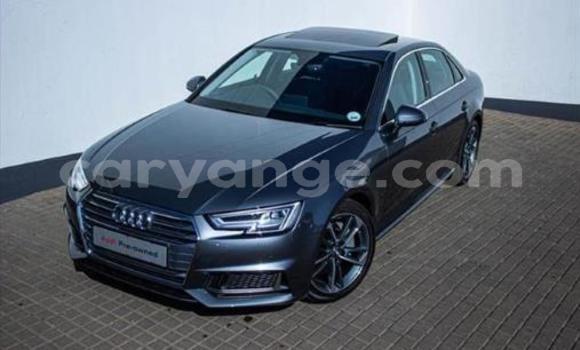 Buy Used Audi A4 Black Car in Karibib in Erongo Buy Used Audi A4 Black Car in Karibib in Erongo