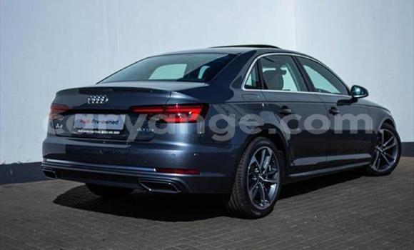 Buy Used Audi A4 Black Car in Karibib in Erongo Buy Used Audi A4 Black Car in Karibib in Erongo