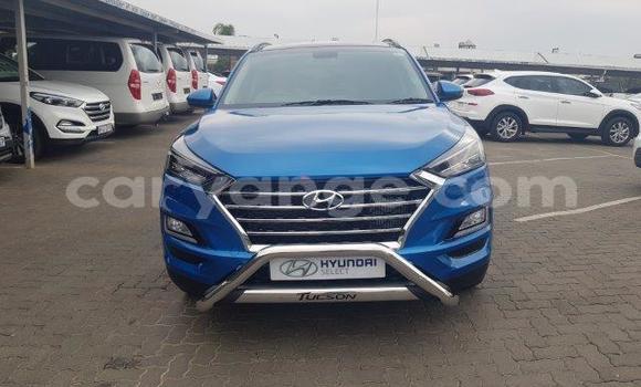 Acheter Occasion Voiture Hyundai Tucson Bleu à Karasburg, Karas Acheter Occasion Voiture Hyundai Tucson Bleu à Karasburg, Karas